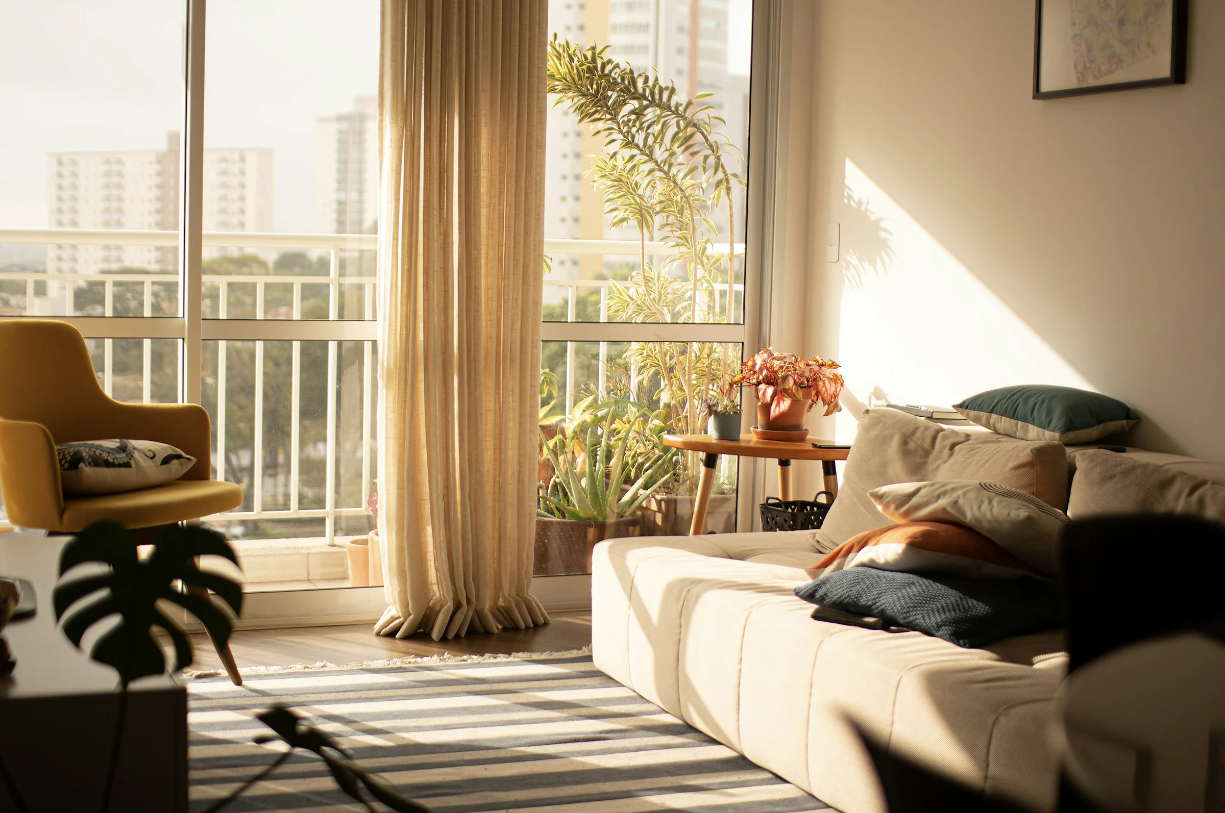A sunlit living room with a tidy sofa and clear floor